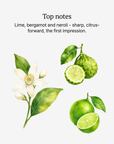 New Horizon top notes illustrated: lime, bergamot and neroli