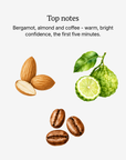 Femme top notes illustrated: bergamot, almond and coffee
