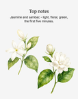 Meadow top notes illustrated: jasmine sambac and warm spice