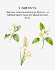 Femme heart notes illustrated: jasmine, tuberose and orange blossom