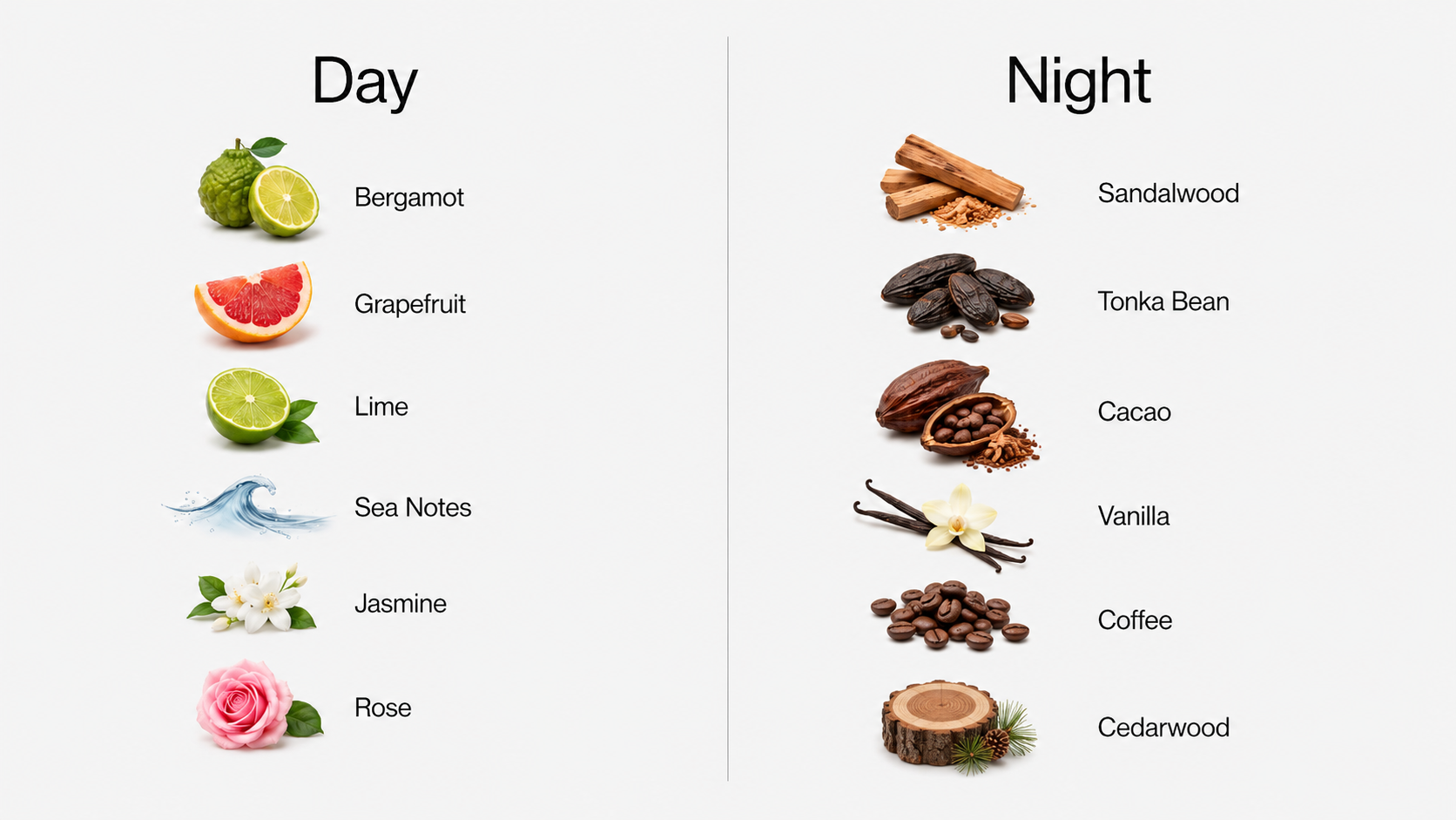 Day vs Evening Fragrance Notes
