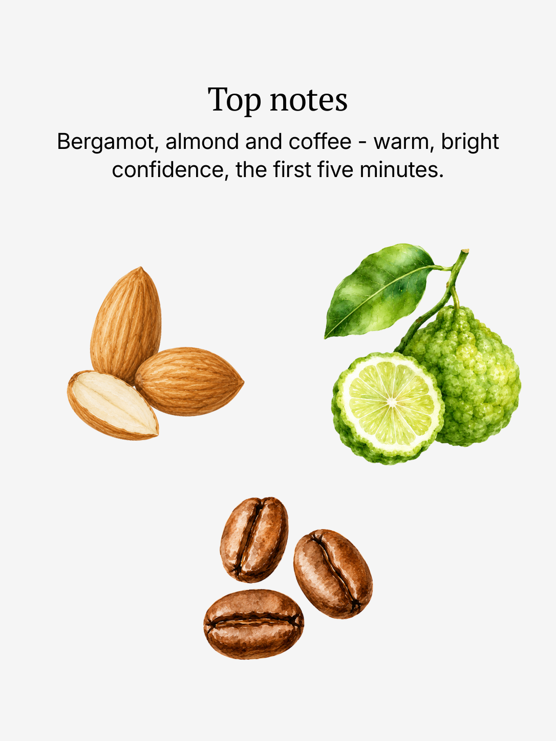 Femme top notes illustrated: bergamot, almond and coffee