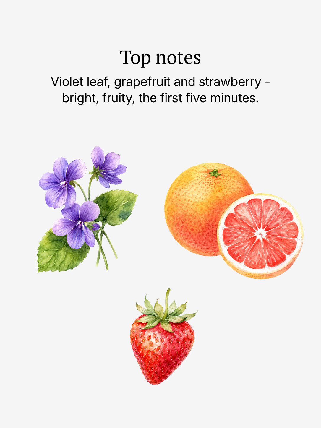High Noon top notes illustrated: violet leaf, grapefruit, orange and strawberry