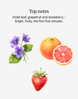 High Noon top notes illustrated: violet leaf, grapefruit, orange and strawberry