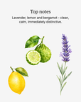 Homme top notes illustrated: lavender, lemon, and bergamot
