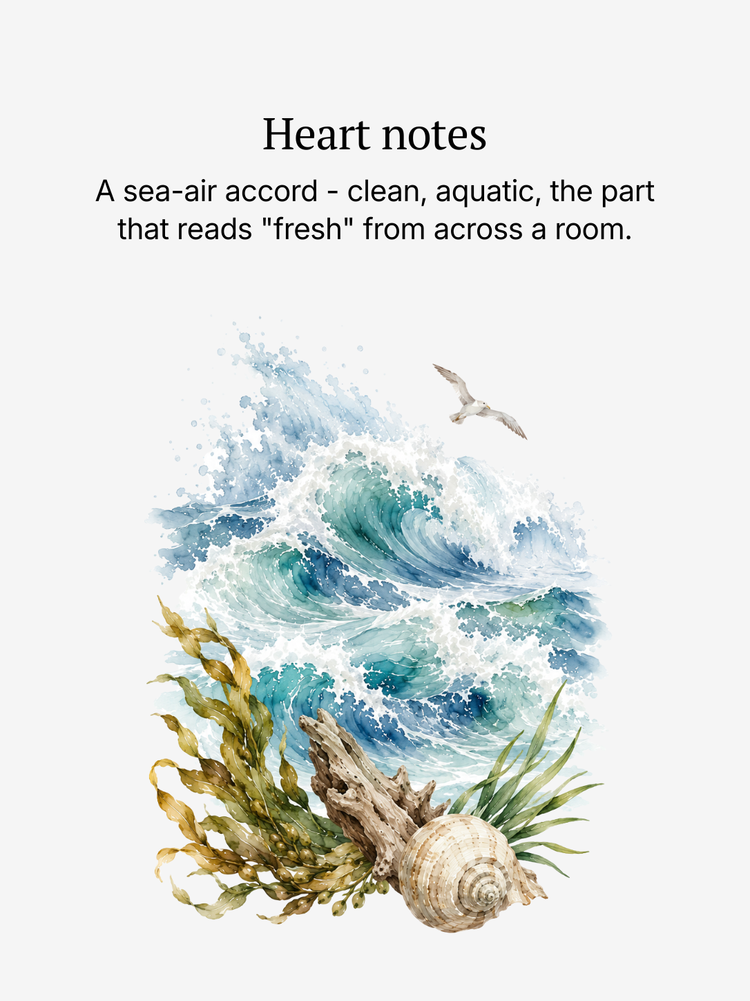 New Horizon heart notes illustrated: sea-air accord