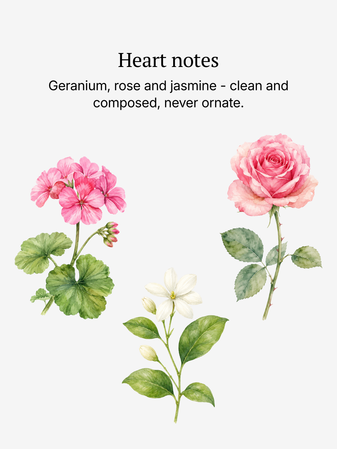 Succession heart notes illustrated: floral-green accord