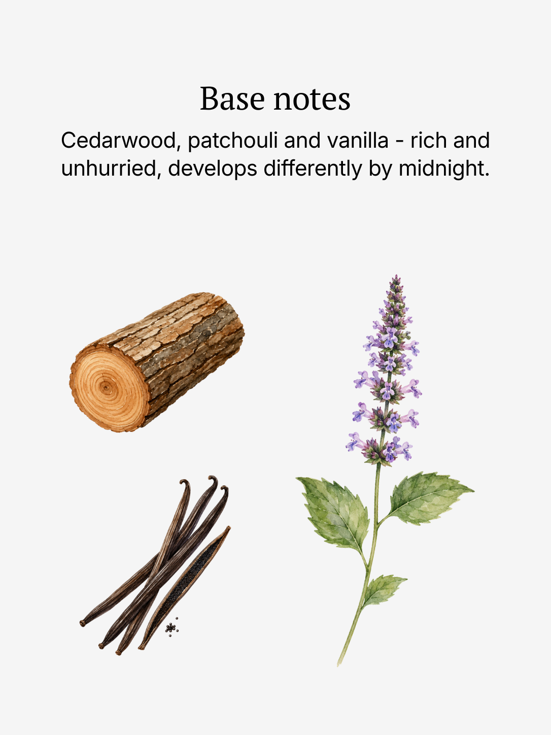 Homme base notes illustrated: cedarwood, vanilla, and patchouli
