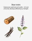 Homme base notes illustrated: cedarwood, vanilla, and patchouli