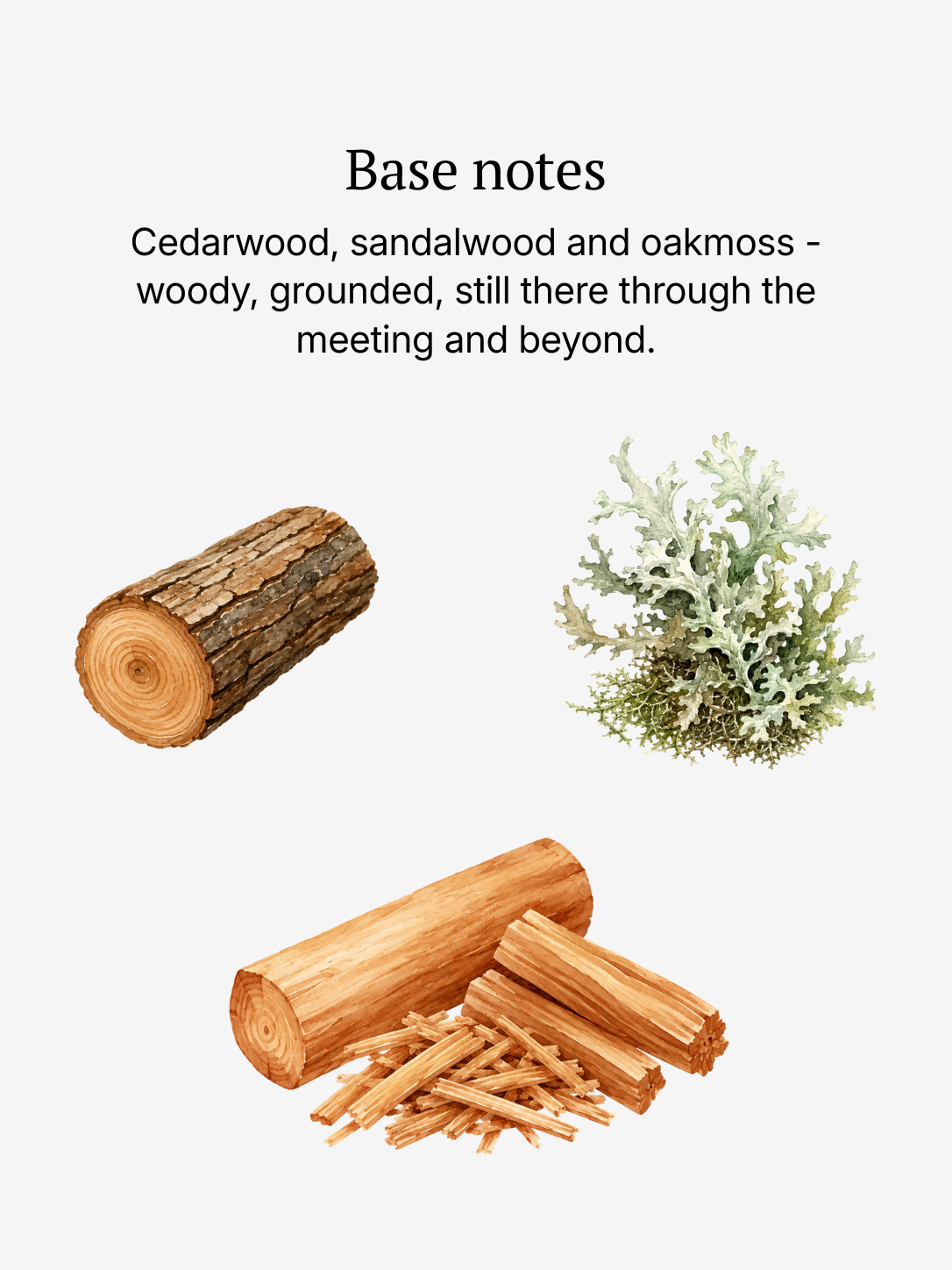 Succession base notes illustrated: cedarwood and sandalwood