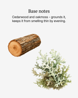 New Horizon base notes illustrated: cedarwood and oakmoss