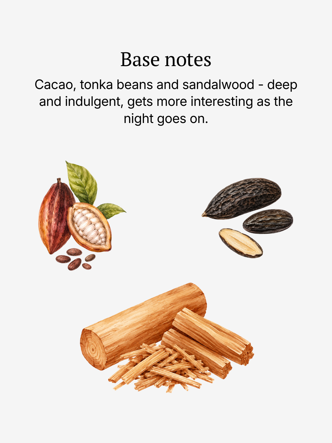 Femme base notes illustrated: cacao, tonka bean and sandalwood