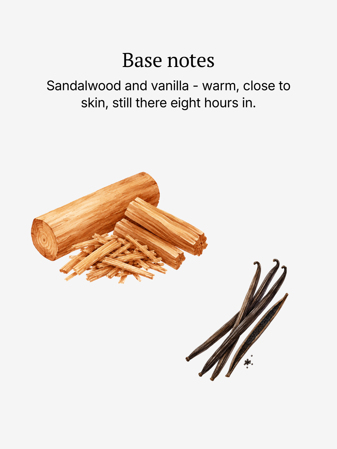 High Noon base notes illustrated: sandalwood and vanilla